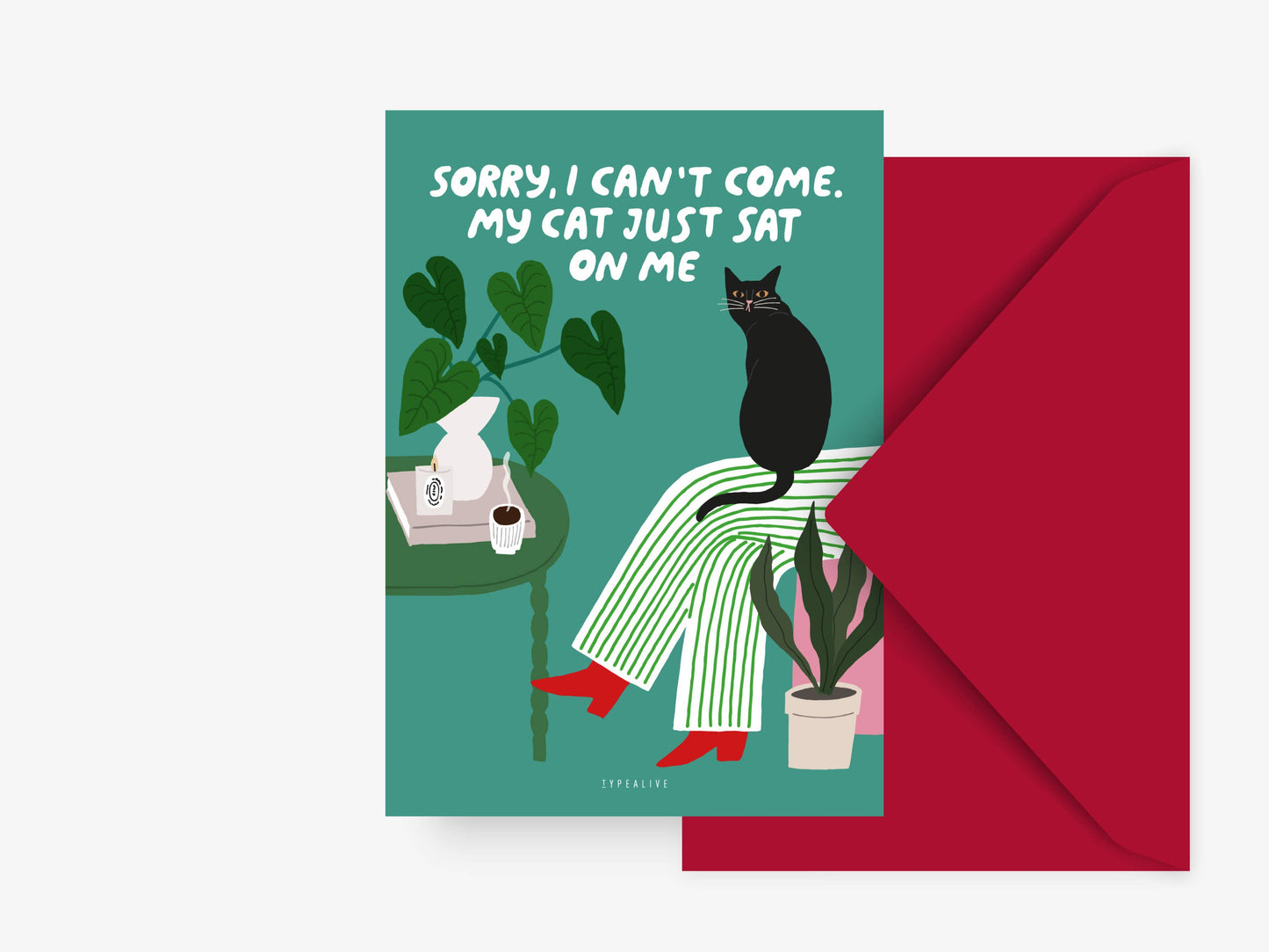 Carte postale | Les chat est assis sur moi