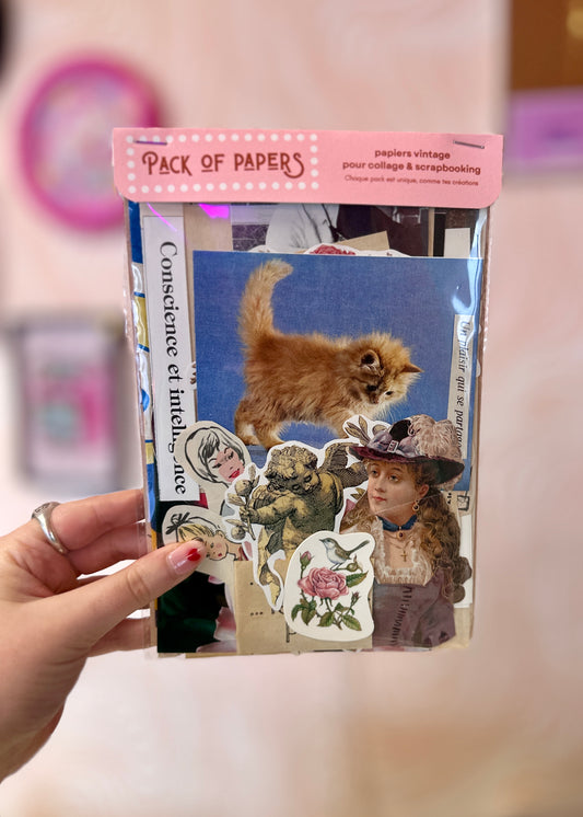 Pochette Scrapbooking | Conscience & Intelligence