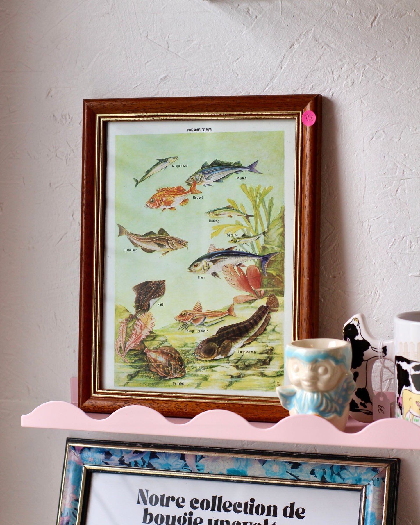 Cadre Poissons de mer