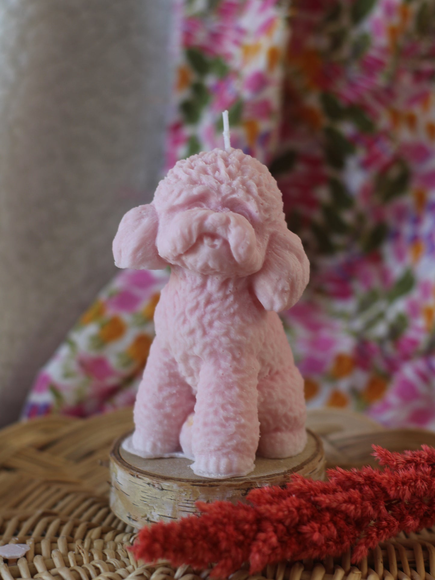 Bougie Caniche