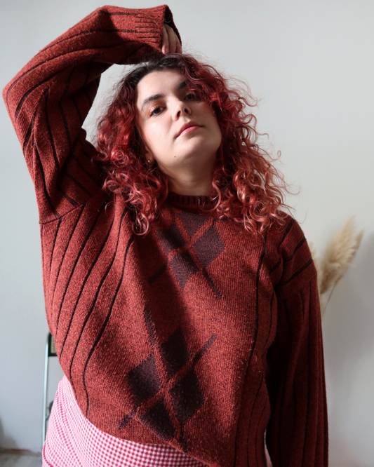 Pull couleur brique Pierre Cardin | T. L