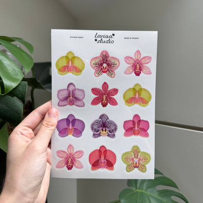 Planche de stickers A5 - ORCHIDÉES