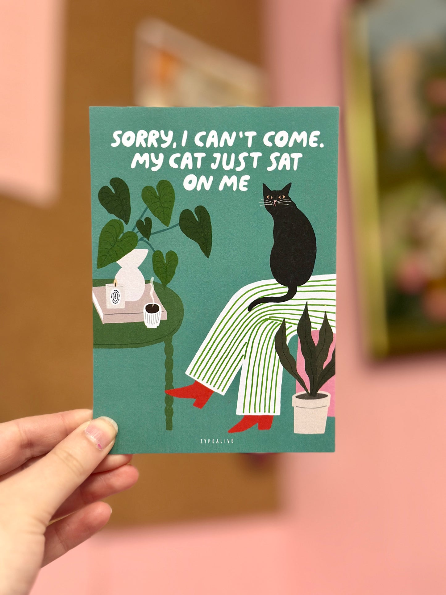 Carte postale | Les chat est assis sur moi