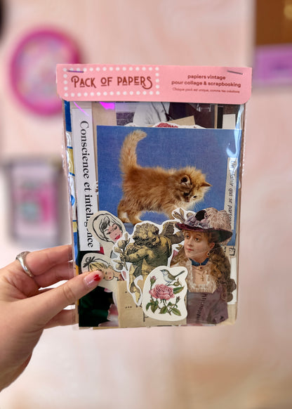 Pochette Scrapbooking | Conscience & Intelligence