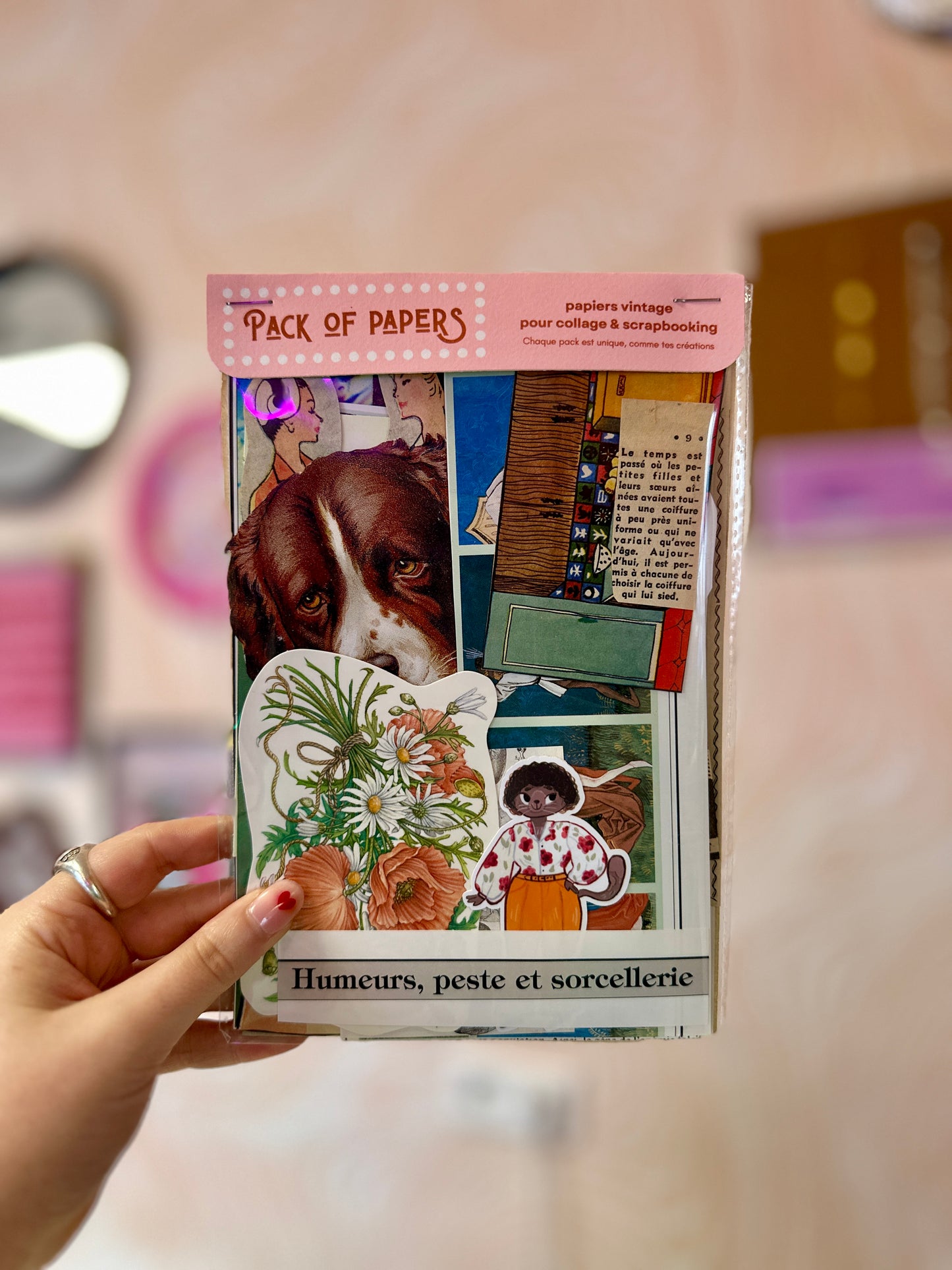 Pochette Scrapbooking | Peste & Sorcellerie