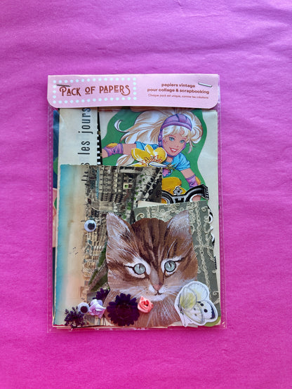 Pochette Scrapbooking | Tous les jours