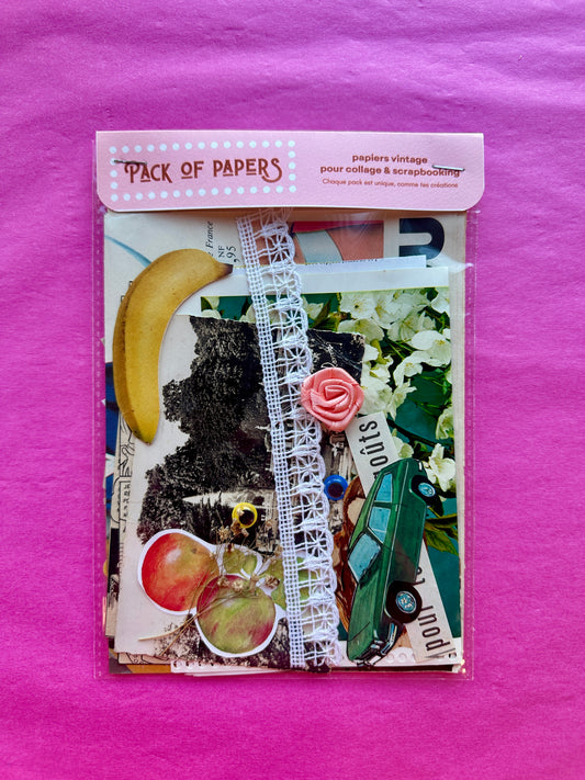 Pochette Scrapbooking | Pour tous les goûts