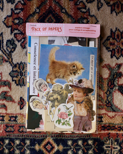 Pochette Scrapbooking | Conscience & Intelligence