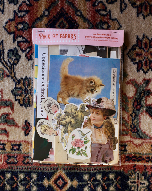 Pochette Scrapbooking | Conscience & Intelligence