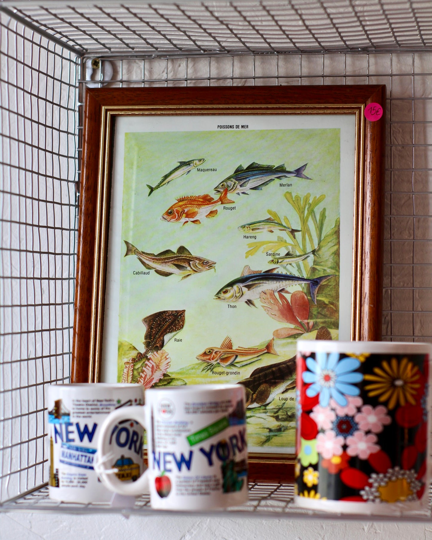 Cadre Poissons de mer