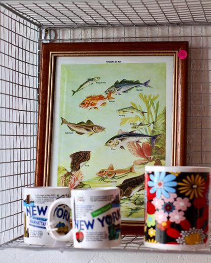 Cadre Poissons de mer
