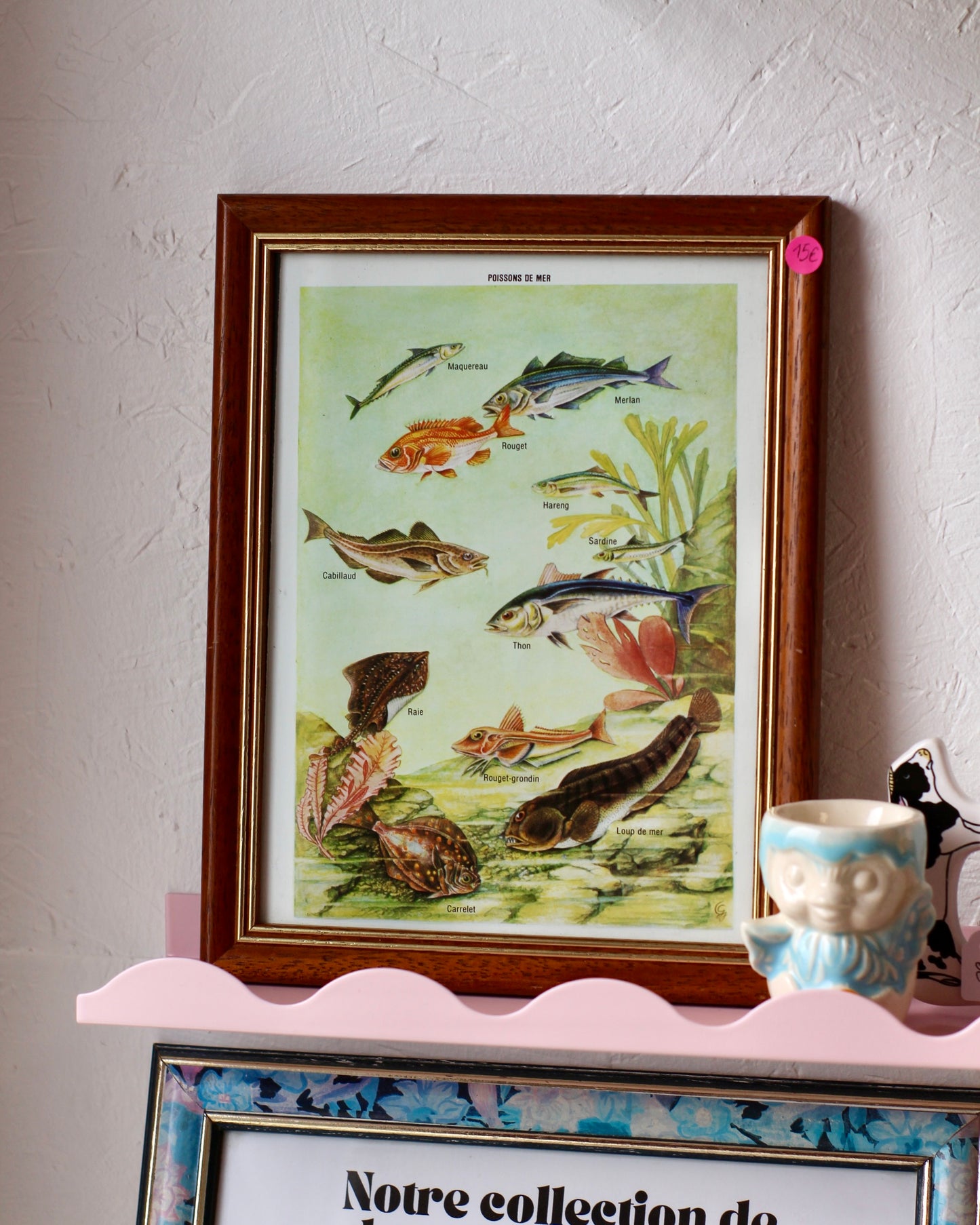 Cadre Poissons de mer