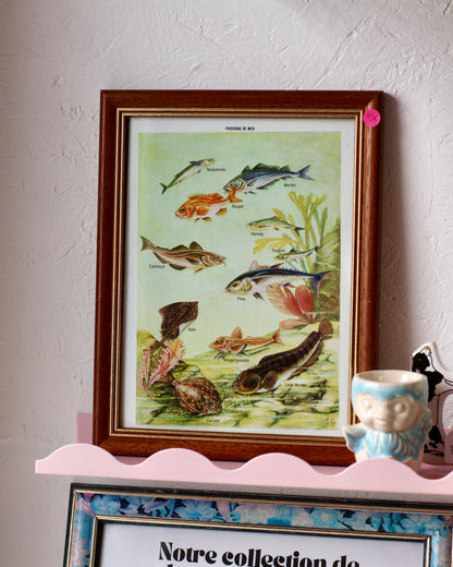 Cadre Poissons de mer