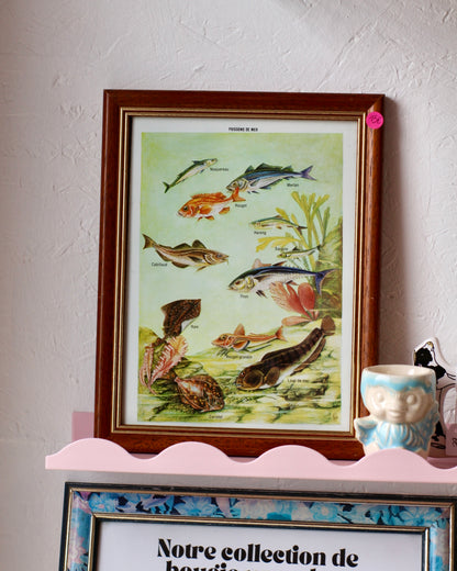 Cadre Poissons de mer