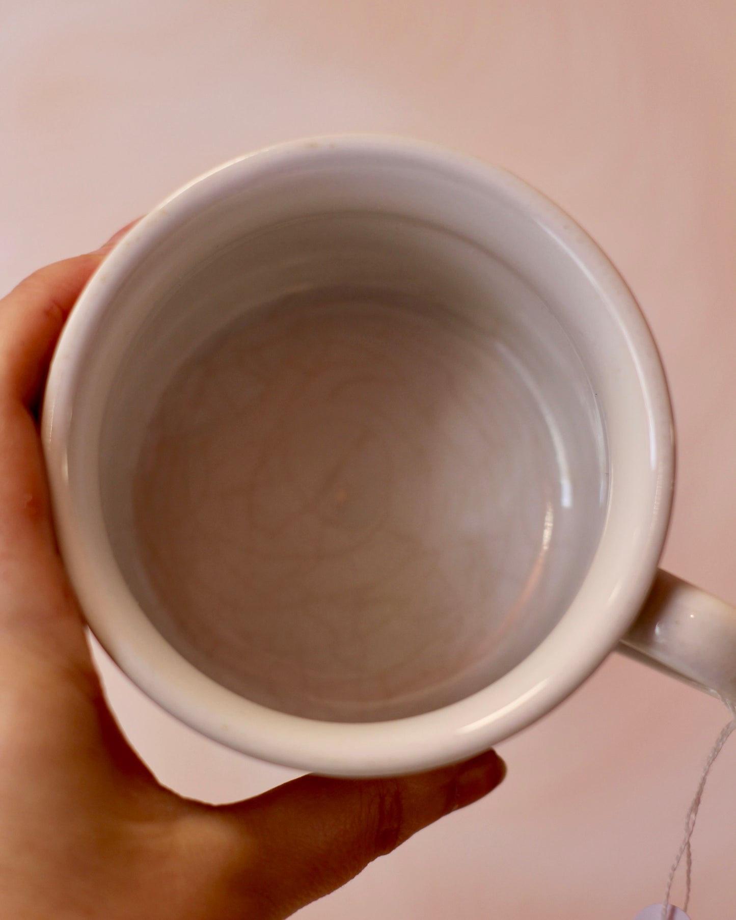 Mug oiseaux