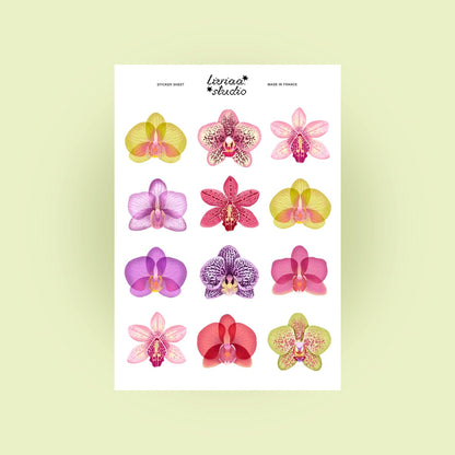 Planche de stickers A5 - ORCHIDÉES